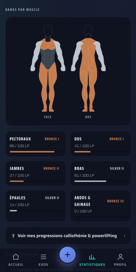 Rangs par groupe musculaire affichés sur une carte du corps, de face et de dos